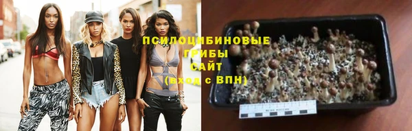 кокаин премиум Приозерск