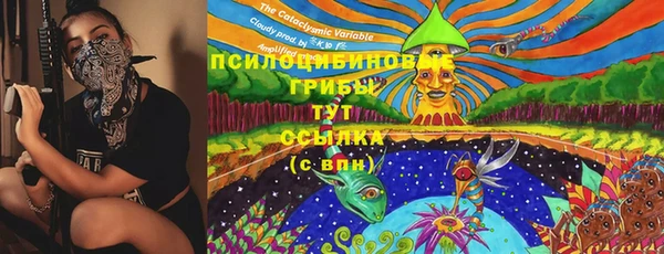 спайс Пролетарск